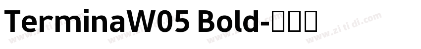 TerminaW05 Bold字体转换